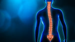 Unraveling the Link: Small Jaws, Body Imbalances, and the Impact on Scoliosis