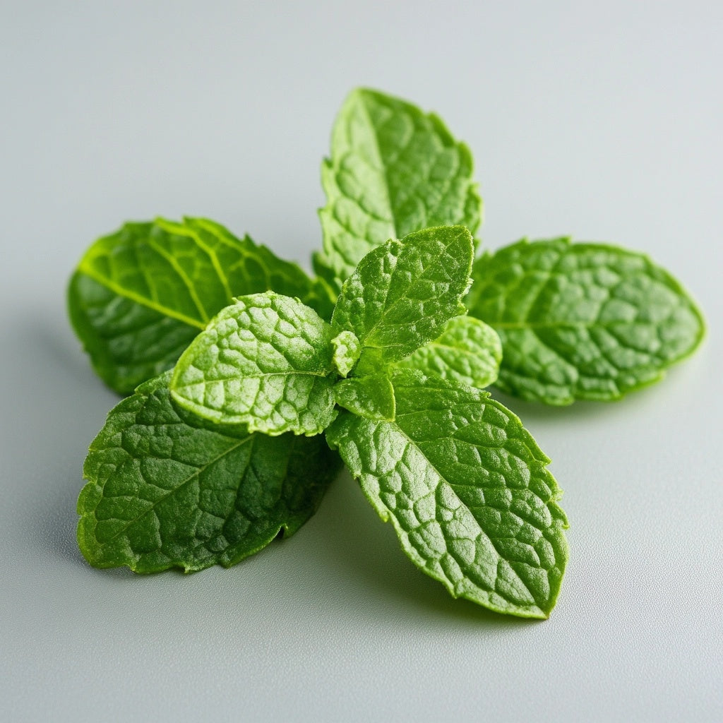 Extra Fuerte: Spearmint Sin Azúcar, 60 Piezas (162g) - Chicle duro | Rigidez específica Shore para el crecimiento de la mandíbula